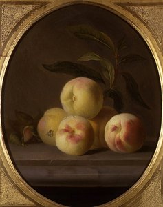 Natureza Morta de Fruta com Mosca (óleo sobre tela)