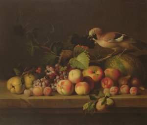 Ainda vida com frutas, um Jay e um papagaio