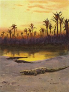 Crocodilo (pôr-do-sol) na margem do Alto Nilo (cor litho)