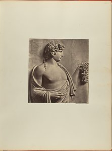 Antinous, baixo-relevo da cidade de Albani de James Anderson