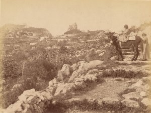Capri [criança na mula] de James Anderson