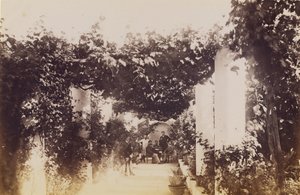 Jardim - Capri de James Anderson