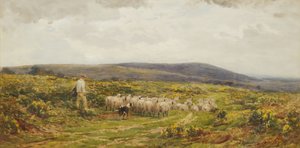 Um Herefordshire Common, 1860-1900.