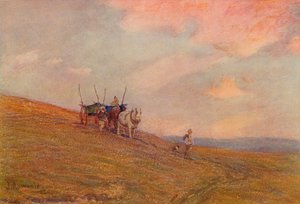 Nas colinas perto de Harting, c1870-1906, 1906.