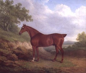 A Chestnut Thoroughbred (óleo sobre tela)