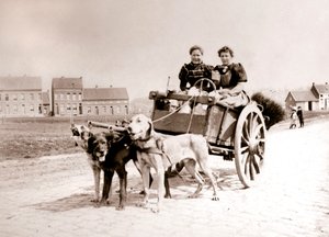 Cães puxando mulheres em um carrinho, Antuérpia, 1898.
