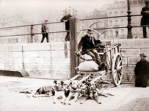 Homem com carroça, Antuérpia, 1898. de James Batkin