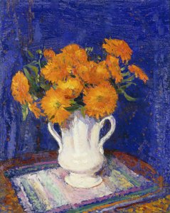 Marigolds em um vaso branco