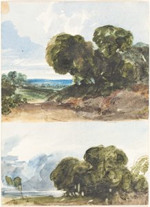 Dois Esboços de Árvores. de James Bulwer