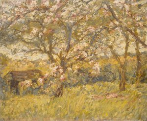 Flor de macieira (óleo sobre tela)