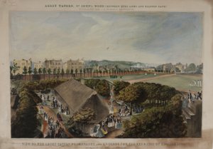 Vista dos passeios e jardins Taverns Abbey, Violet Hill, Marylebone, c.1870 de James D Barnett