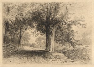 A Farm Lane, Jan. 1887, Opus 2 de James David Smillie