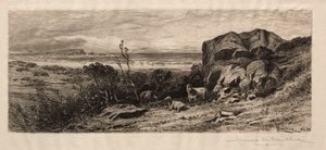 Em Marblehead Neck de James David Smillie