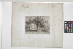 Paisagem (gravura, chine collé)