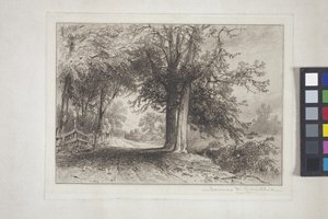 Paisagem (gravura, chine collé)