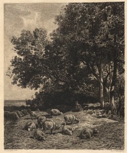 Paisagem e ovelhas de James David Smillie