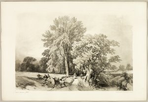 Abele e Carvalho, de The Park and the Forest de James Duffield Harding