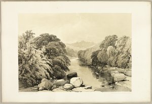 Ash, Sycamore e Oak, do Parque e da Floresta de James Duffield Harding