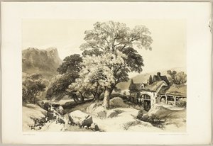 Ash and Oak, de The Park and the Forest de James Duffield Harding