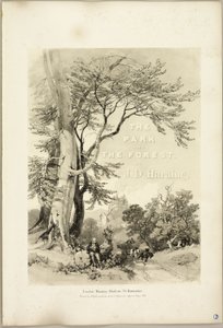 Faia e Carvalho (Frontispício), de The Park and the Forest de James Duffield Harding