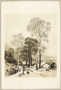 Bétula e Carvalho, de The Park and the Forest de James Duffield Harding
