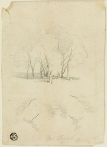 Arvoredo de James Duffield Harding