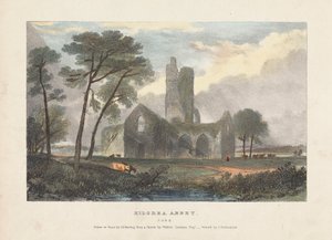 Abadia de Kilcrea de James Duffield Harding