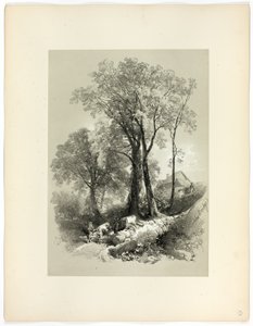 Ponte Shipley, Devon, de Seleções Pitorescas de James Duffield Harding