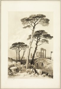 Stone Pines, do Parque e da Floresta de James Duffield Harding