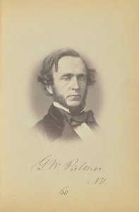 George W. Palmer de James Earle McClees