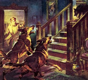 O Fantasma do Cão Negro de James Edwin McConnell