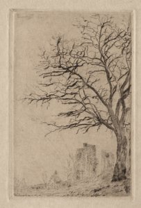 Acácia de James Ensor