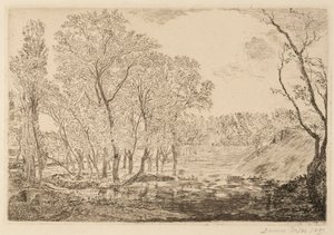 Lagoa com choupos de James Ensor