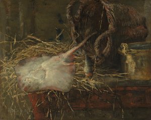 A raia de James Ensor