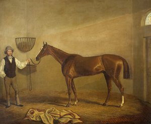 Bravissimo, Vencedor da Taça Monmouthshire Hunt em Abergavenny
