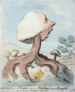 Um Excrescence; Um fungo; Alias - Um Toadstool em cima de um Dung Hill, publicado por Hannah Humphrey em 1791 (gravura com wc)