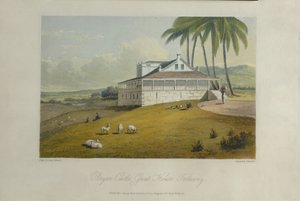Castelo de Bryan, ilustração de 