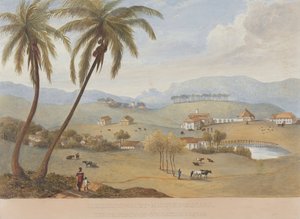 Haughton Court, Hannover, Jamaica [Um de ]