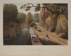 O passeio no pântano de James Hakewill