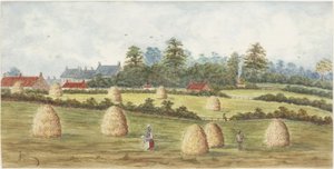Chirton da Meadowell Farm (aquarela e bodycolour no papel)