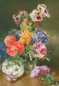 Rosas, Papoula e Pelargonia