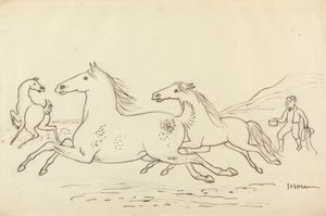 Três Cavalos e Rapaz Estável