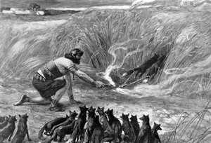 Sansão e as raposas por J James Tissot - Bíblia