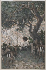 A Infância de São João Batista, ilustração da Vida de Nosso Senhor Jesus Cristo (wc sobre grafite sobre papel) de James Jacques Joseph Tissot