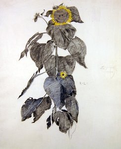 Girassóis (carvão e aguarela sobre papel)
