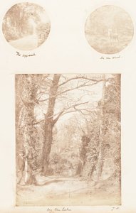 A abordagem, na floresta, à beira do lago, 1853-56.