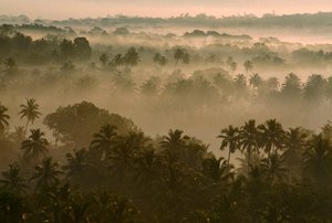 O nevoeiro matinal cobre a paisagem de Velha Goa ao nascer do sol. VELHA GOA, GOA, ÍNDIA. de James L Stanfield