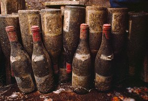 Garrafas de vinho tinto, cobertas de bolor, a envelhecer numa adega. Tain-L