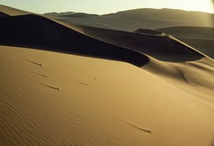 Vista de dunas sombreadas de corte acentuado perto de Dunhuang. Província de Gansu, República Popular da China. de James L Stanfield