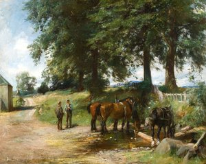 Cavalos de rega